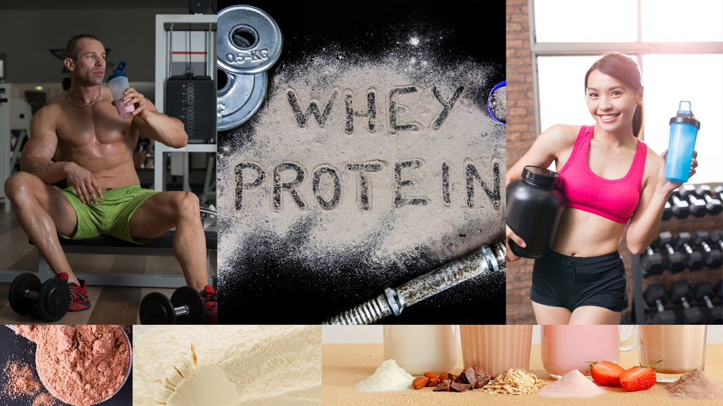 Whey protein concentrate 