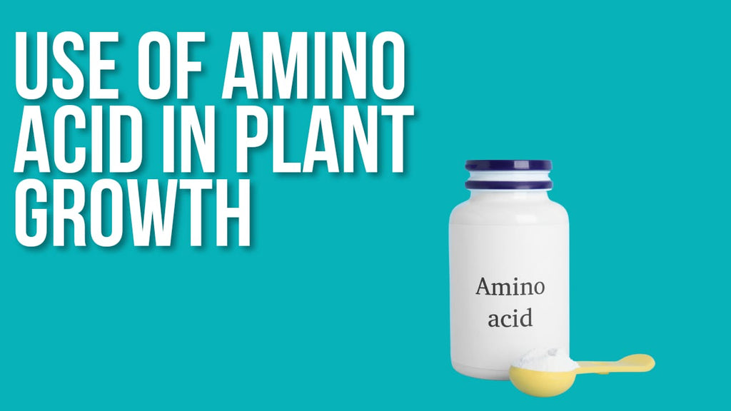 Benefits of Amino Acids for the Plant Growth and Development