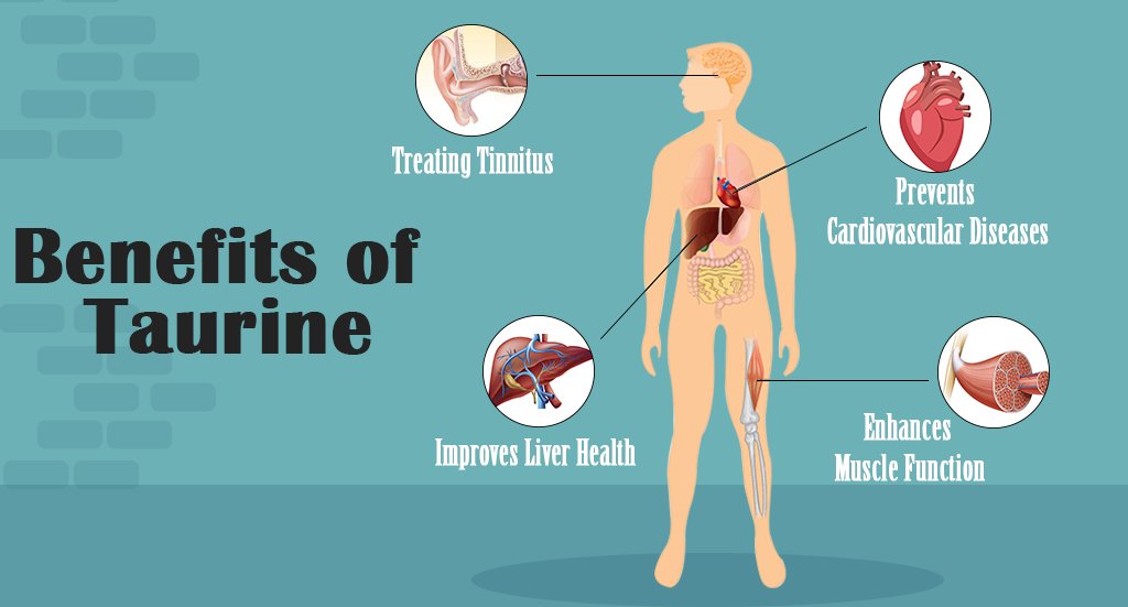 L-Taurine -Taurine Benefits: A Natural Supplement for Heart Health and Energy – aseschem