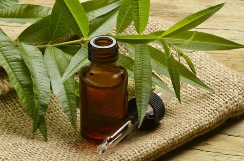 Pure Australian Tea Tree Essential Oil – aseschem